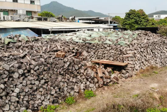 古井烧鹅制作